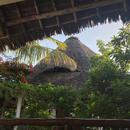 Pasa Lodge Zanzibar Nungwi Exteriör bild