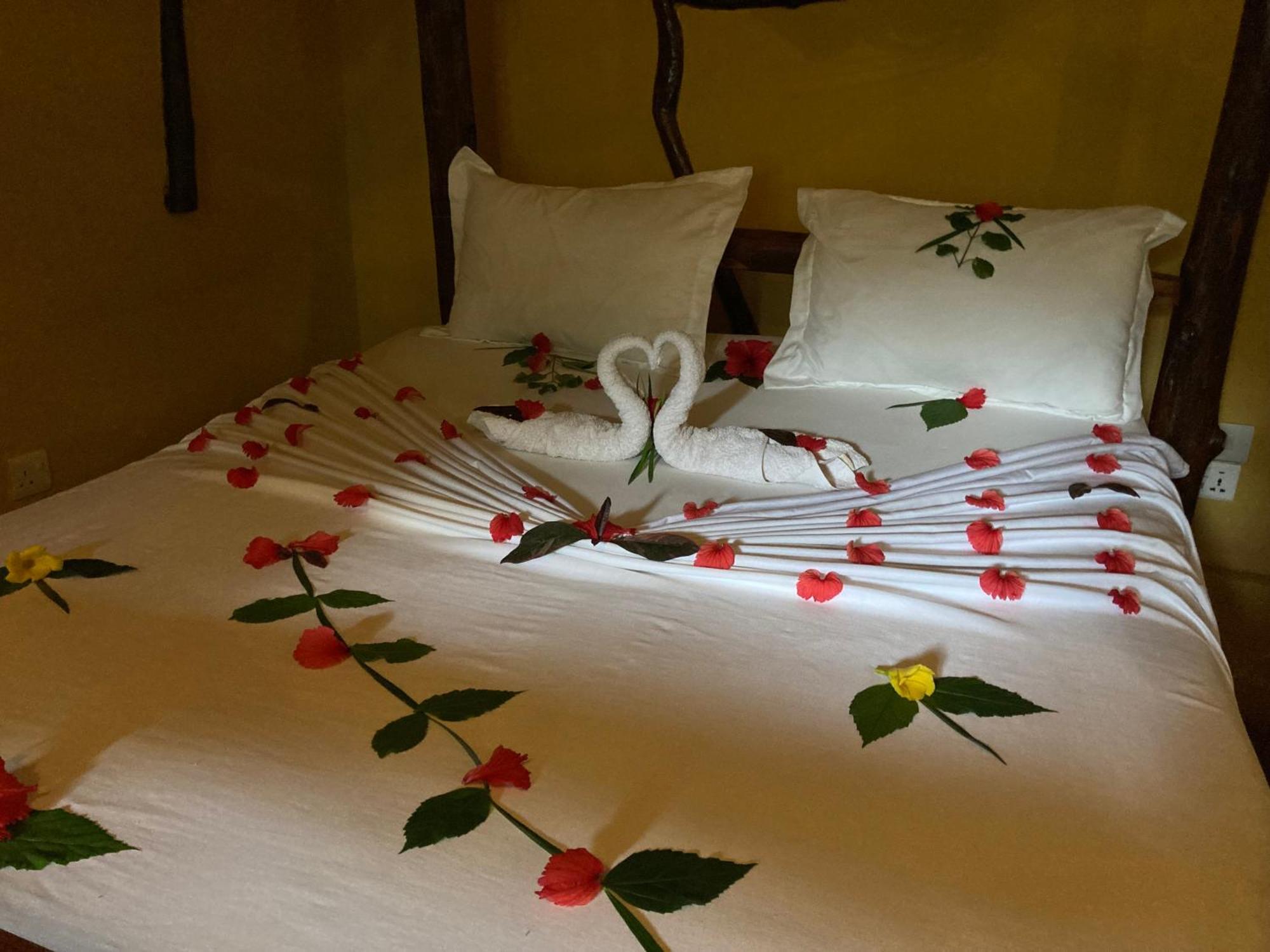 Pasa Lodge Zanzibar Nungwi Rum bild