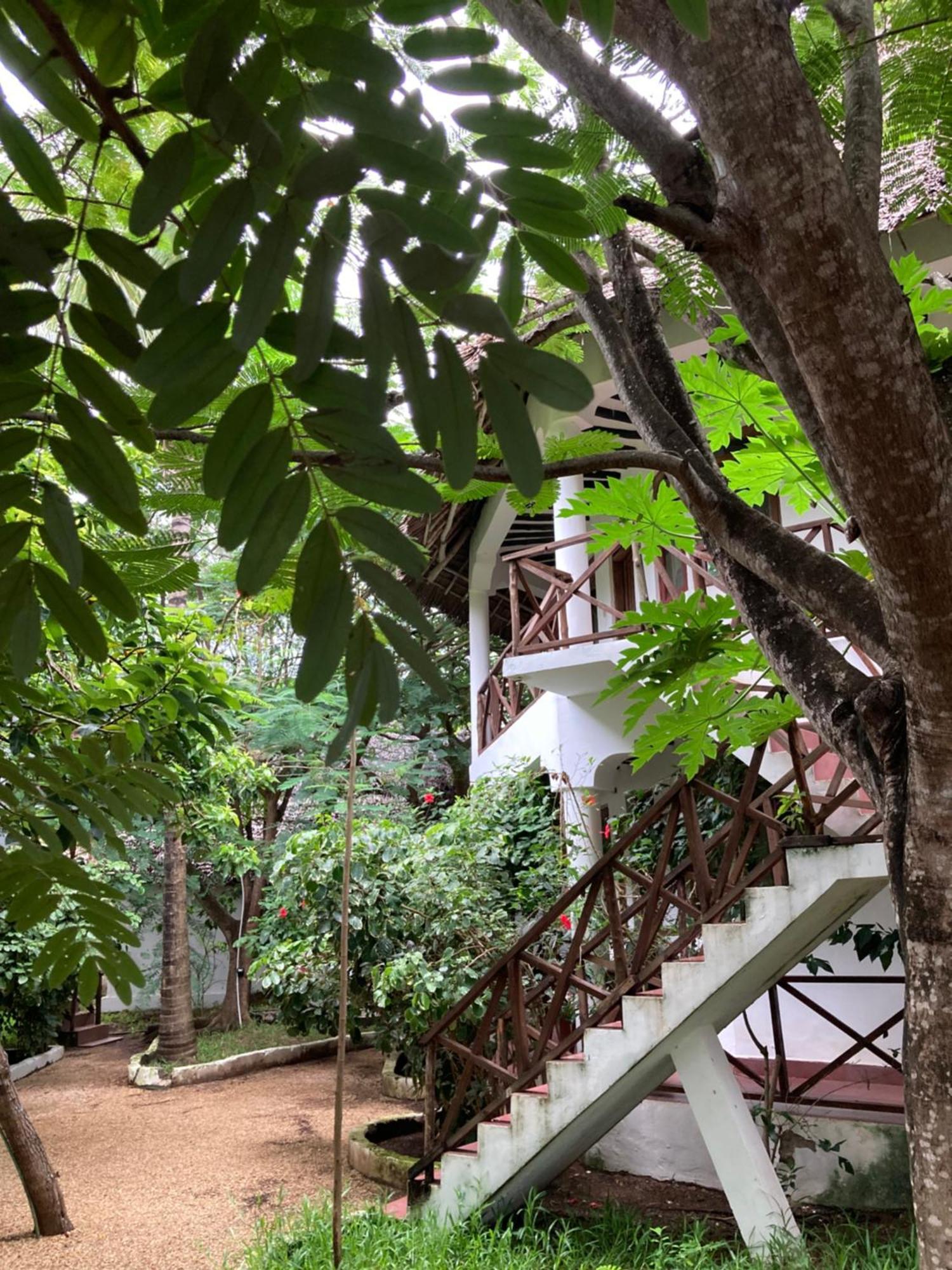 Pasa Lodge Zanzibar Nungwi Exteriör bild